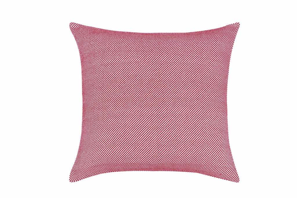 Holden 22x22 Pillow