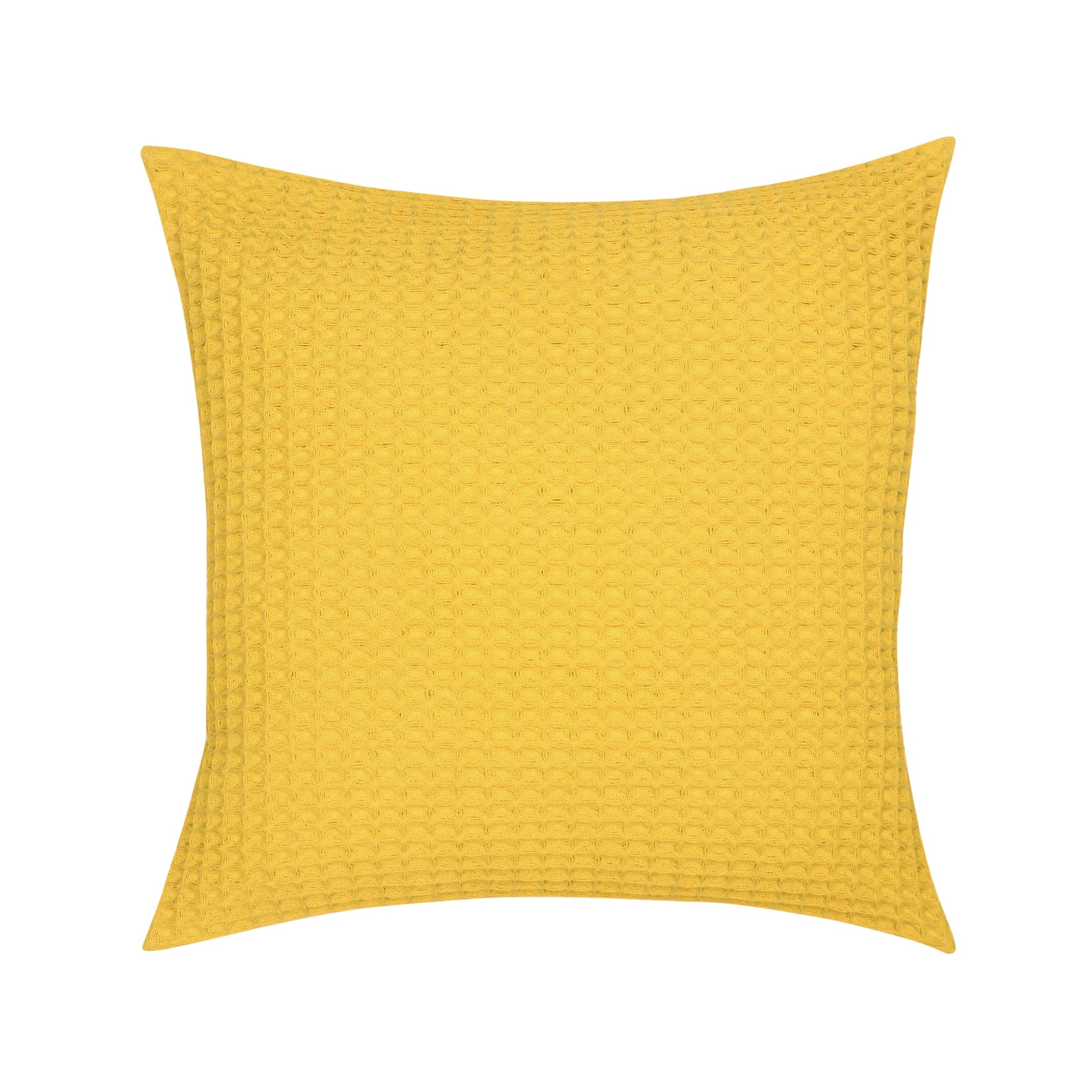 Maize